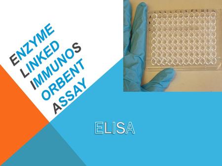 Enzyme Linked Immunosorbent Assay