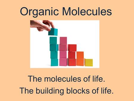 Organic Molecules The molecules of life. The building blocks of life.