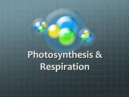 Photosynthesis & Respiration. PHOTOSYNTHESIS PLANTS NEED: WATER WATER.