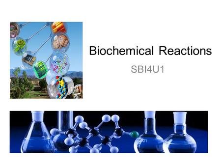 Biochemical Reactions SBI4U1. Acids produces H + ions in H 2 O pH below 7 Sour taste, conducts electricity Increase [H + ] or [H 3 O + ] ions when dissolved.