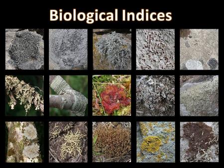 Biological Indices.