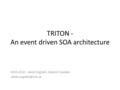 TRITON - An event driven SOA architecture MSIS 2010 - Jakob Engdahl, Statistic Sweden