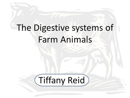 The Digestive systems of Farm Animals