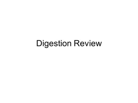 Digestion Review. Why is it important to chew your food before you swallow it?