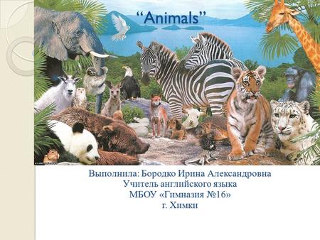 Выполнила: Бородко Ирина Александровна Учитель английского языка МБОУ «Гимназия №16» г. Химки.