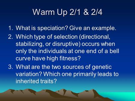 Warm Up 2/1 & 2/4 1.What is speciation? Give an example. 2.Which type of selection (directional, stabilizing, or disruptive) occurs when only the individuals.