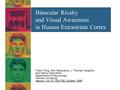 Binocular Rivalry and Visual Awareness in Human Extrastriate Cortex Frank Tong, Ken Nakayama, J. Thomas Vaughan, and Nancy Kanwisher Department of Psychology.