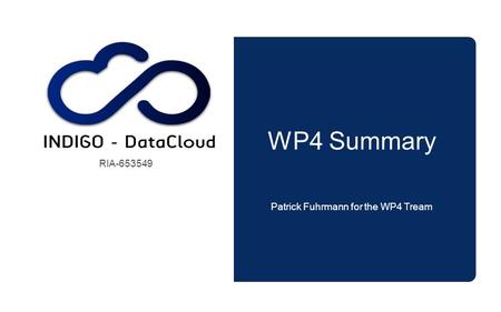 WP4 Summary Patrick Fuhrmann for the WP4 Tream RIA-653549.