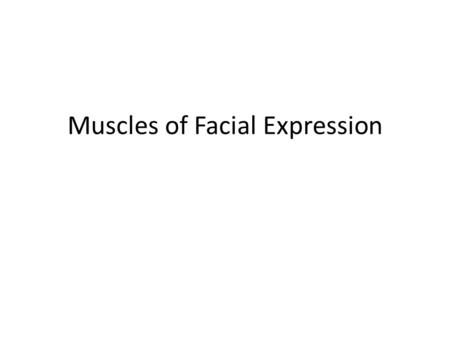 Muscles of Facial Expression. Levator Labii Superioris Origin: Frontal process of maxilla Insertion: Upper lip muscles and nasal cartilage. Action: Elevates.