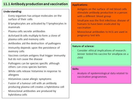 11.1 Antibody production and vaccination Understanding: -Every organism has unique molecules on the surface of their cells -B lymphocytes are activated.