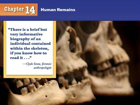 Human Remains. 2 You will understand: How anthropologists can use bones to determine: Whether remains are human Gender Age Sometimes race Estimated height.