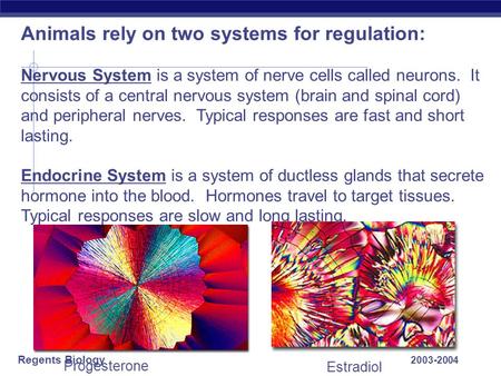 Regents Biology 2003-2004 Animals rely on two systems for regulation: Nervous System is a system of nerve cells called neurons. It consists of a central.