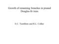 Growth of remaining branches in pruned Douglas-fir trees E.C. Turnblom and R.L. Collier.