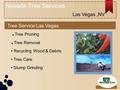 Nevada Tree Services Las Vegas,NV Tree Service Las Vegas Tree Pruning Tree Removal Recycling Wood & Debris Tree Care Stump Grinding.