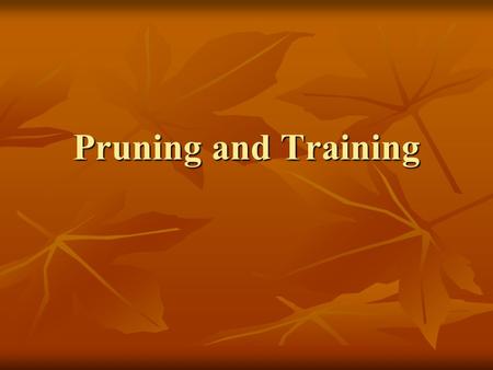 Pruning and Training. Link Training to Productivity Productivity is all about - Quality - Quantity - Price - Timing to Market All the areas of training.