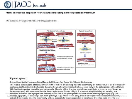 Date of download: 5/30/2016 Copyright © The American College of Cardiology. All rights reserved. From: Therapeutic Targets in Heart Failure: Refocusing.