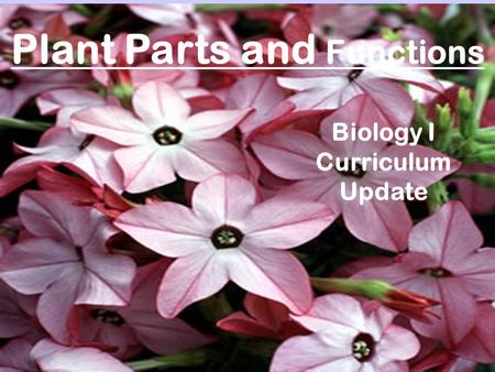 Plant Parts and Functions Biology I Curriculum Update.