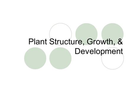 Plant Structure, Growth, & Development. The Diversity of Angiosperms Angiosperms (flowering plants) can be divided into 2 major categories:  Monocots.