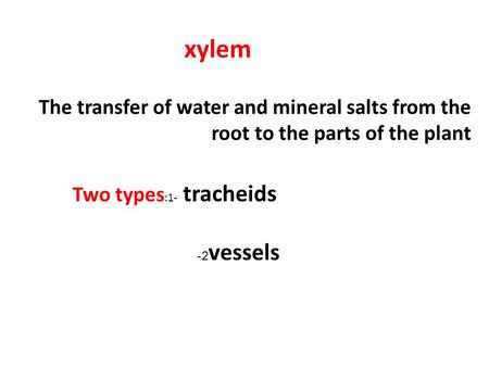 Xylem Two types :1- tracheids vessels 2- The transfer of water and mineral salts from the root to the parts of the plant.