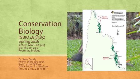 Conservation Biology (GBIO 485/585) Spring 2016 lecture: MW 8:00-9:15 lab: M 1:00-4:45 Room 322 Biology Dr. Sean Doody Phone: (985) 549-5295 Room 424A.