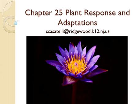 Chapter 25 Plant Response and Adaptations