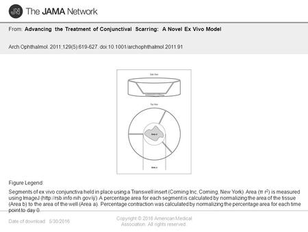 Date of download: 5/30/2016 Copyright © 2016 American Medical Association. All rights reserved. From: Advancing the Treatment of Conjunctival Scarring: