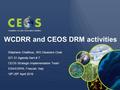 WCDRR and CEOS DRM activities Stéphane Chalifoux, WG Disasters Chair SIT-31 Agenda Item # 7 CEOS Strategic Implementation Team ESA/ESRIN, Frascati, Italy.