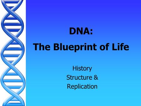 DNA: The Blueprint of Life History Structure & Replication.