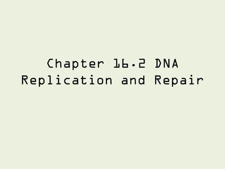 Chapter 16.2 DNA Replication and Repair. Recap Nitrogen base pairings A – T C – G Adenine and Guanine are purines -2 rings Cytosine and Thymine are pyrimidines.