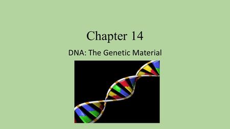 Chapter 14 DNA: The Genetic Material. 14.1 The Genetic Material 1. Frederick Griffith- 1928- worked with pathogenic bacteria Took a virulent strain of.