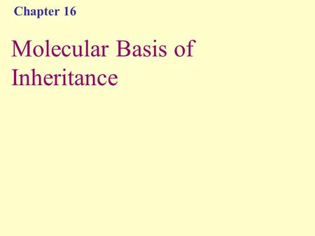 Chapter 16 Molecular Basis of Inheritance. Brainstorm What have we already learned about DNA this semester?