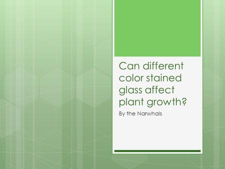 Can different color stained glass affect plant growth?