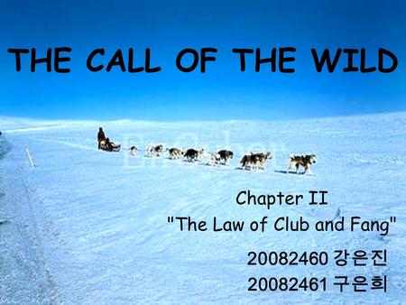 THE CALL OF THE WILD Chapter II The Law of Club and Fang 20082460 강은진 20082461 구은희.