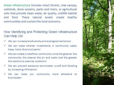 Green infrastructure includes intact forests, tree canopy, wetlands, dune systems, parks and rivers, or agricultural soils that provide clean water, air.