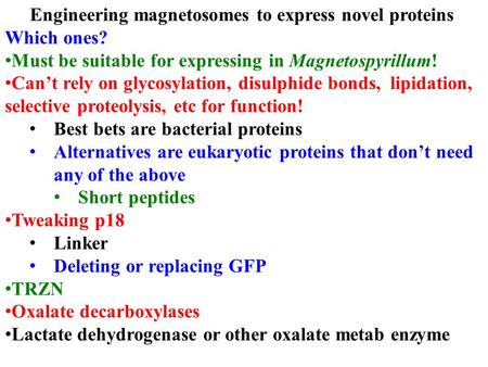 Engineering magnetosomes to express novel proteins Which ones? Must be suitable for expressing in Magnetospyrillum! Can’t rely on glycosylation, disulphide.