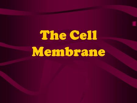 The Cell Membrane. Cell Environment Plasma membrane is the boundary that separates cells from their environment. Its function is to regulate what enters.