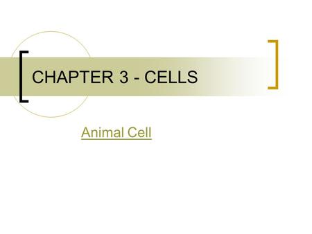 CHAPTER 3 - CELLS Animal Cell. 3 MAJOR PARTS OF CELL: NUCLEUS CELL MEMBRANE CYTOPLASM.