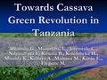 TOWARDS CASSAVA Towards Cassava Green Revolution in Tanzania Mkamilo,G., Masumba, E., Jeremiah, C., Ndyetabura I., Kimata B., Kulembeka H., Mtunda K.,