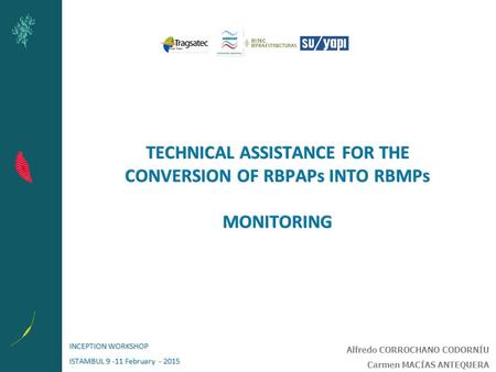 TECHNICAL ASSISTANCE FOR THE CONVERSION OF RBPAPs INTO RBMPs MONITORING INCEPTION WORKSHOP ISTAMBUL 9 -11 February - 2015 Alfredo CORROCHANO CODORNÍU Carmen.