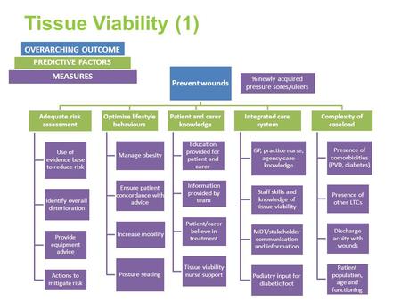 Prevent wounds Adequate risk assessment Use of evidence base to reduce risk Identify overall deterioration Provide equipment advice Actions to mitigate.