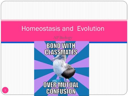 AP Biology 1 Homeostasis and Evolution. Homeostasis 2 Homeostasis is the way an organism maintains a stable internal environment within itself Body systems.