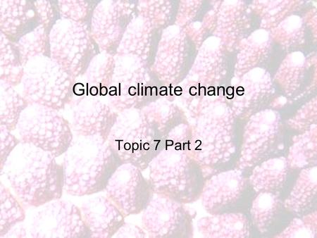 Global climate change Topic 7 Part 2. The oceans and the carbon cycle.