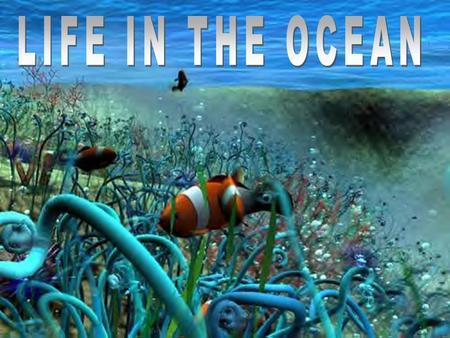 LIFE IN THE OCEAN. Limiting Factors A limiting factor is a factor found in the environment that can be harmful if present in quantities that are too large.