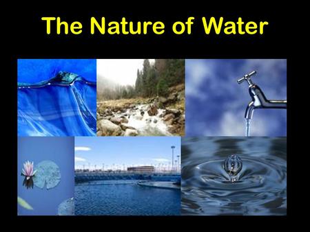 The Nature of Water Compare and contrast the general structures of plant and animal cells. Compare and contrast the general structures of prokaryotic and.