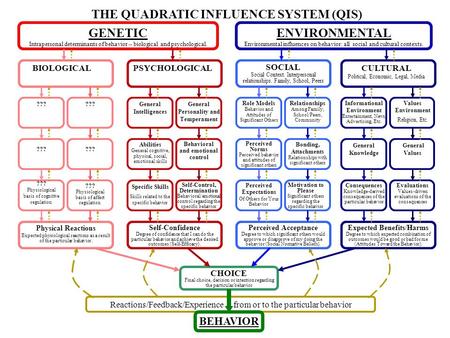 THE QUADRATIC INFLUENCE SYSTEM (QIS)