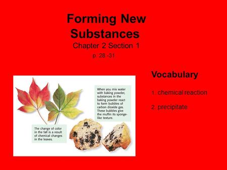 Forming New Substances Chapter 2 Section 1 p. 28 -31 Vocabulary 1. chemical reaction 2. precipitate.