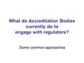 What do Accreditation Bodies currently do to engage with regulators? Some common approaches.