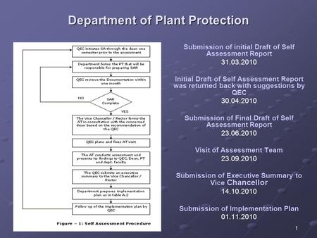 1 Department of Plant Protection Submission of initial Draft of Self Assessment Report 31.03.2010 Initial Draft of Self Assessment Report was returned.