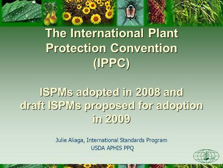 The International Plant Protection Convention (IPPC) ISPMs adopted in 2008 and draft ISPMs proposed for adoption in 2009 Julie Aliaga, International Standards.