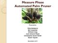 Measure Phase Automated Palm Pruner Presented by: Obie Abakporo Bill Carpenter William Craig Juan Antonio Rojas Christopher Xavier Smith Sarah Trayner.